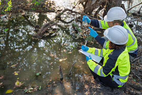 Environmental engineers collect water samples from a swamp for quality testing. Ecological research and field analysis for sustainability and nature conservation projects.