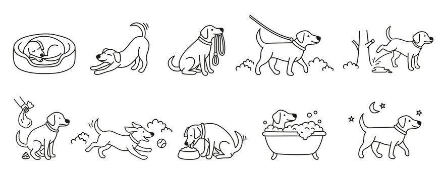 Dog daily routine icons set outline vector illustration. Day of a dog set of cute doodles. Vector illustration
