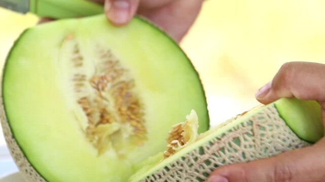 Melon slice fresh fruit hand touch farming harvesting agriculture food ingredient k fruit 멜론 과일 조각 신선 손 터치 농사 재배 수확 농업 한국 멜론 식재료 디저트 식품 메론 참외