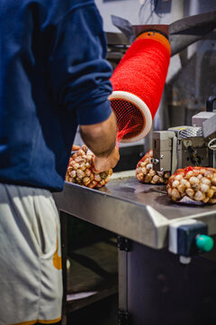 Worker packaging fresh clams into mesh bags at a seafood depuration plant in Olh&atilde;o