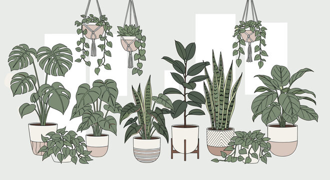 Collection of various indoor potted houseplants in a modern minimalist illustration style.