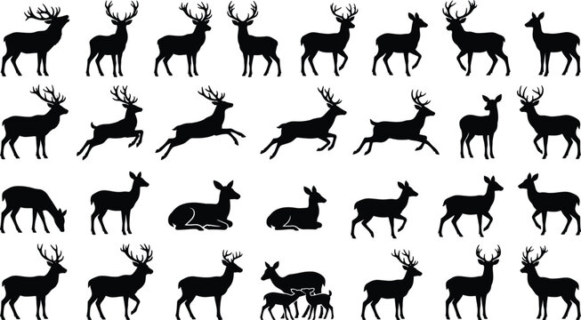 Deer Silhouette Icon Set with Antlers in Multiple Poses for Wildlife Branding and Pattern Design Featuring Stag, Buck, Doe