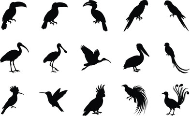 Exotic Bird Silhouette Collection with Tropical and Water Bird Vector Icon Set © Creative Vector