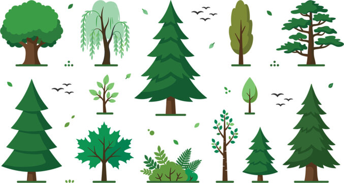 Green forest trees vector illustration set featuring pine spruce oak willow maple fern bush and flying birds silhouettes