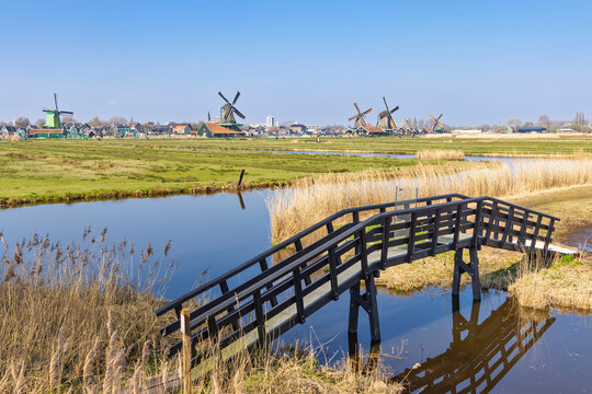 Zaandam, Netherlands. An iconic dark wooden footbridge crossing a polder ditch with historic windmills lined up on the horizon at Zaanse Schans.