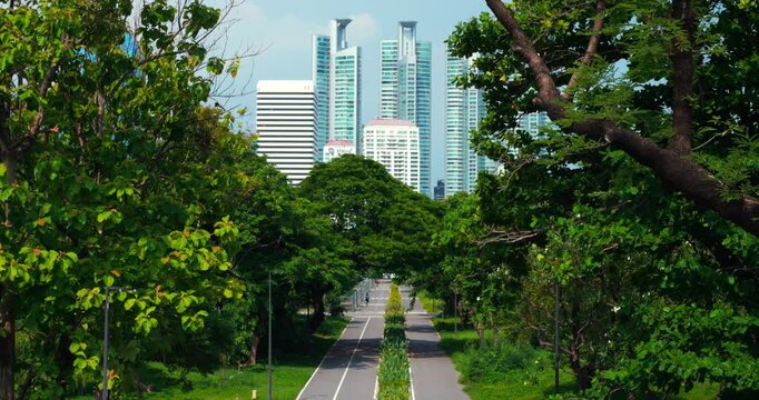 City park path framed by dense trees with modern skyscrapers rising behind, wide green urban landscape featuring empty roadway, landscaped divider, and bright blue sky overhead above city skyline