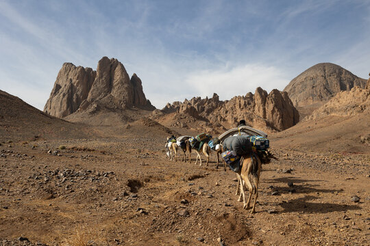 Algeria, Sahara, Desert, Arid, dry, hoggar, mountains, trekking, hiking, outdoor, meharee, caravan