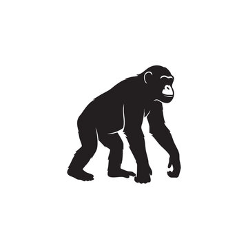 Black gorilla silhouette standing isolated on white background, Vector, illustration