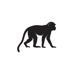 Black monkey silhouette walking isolated on white background, Vector, illustration © Emdad