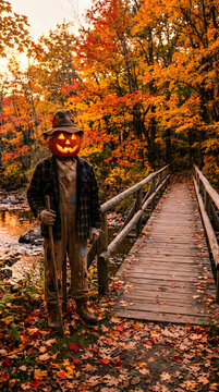 Halloween scarecrow on wooden bridge in autumn forest spooky fall decoration