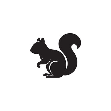 Black squirrel silhouette sitting isolated on white background, Vector, illustration