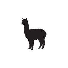 Fototapeta premium Black alpaca silhouette standing isolated on white background, Vector, illustration