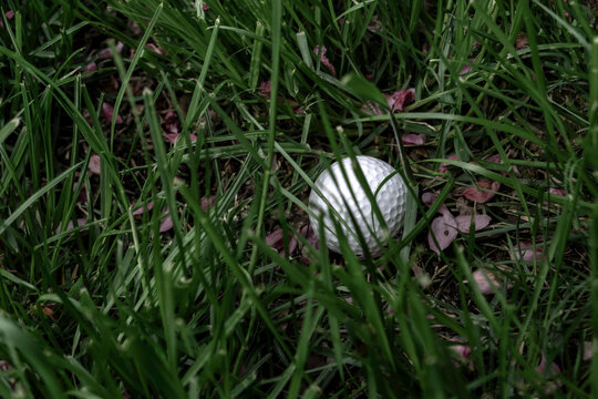 A white golf ball sits hidden in thick rough grass. Suits sports blogs, golf club marketing, and editorial content about the game.