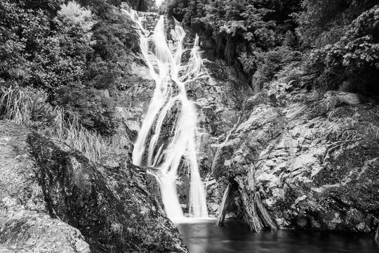 Carew Falls in the Lake Brunner Mitchells Scenic Reserve on the South Island of New Zealand in black and white