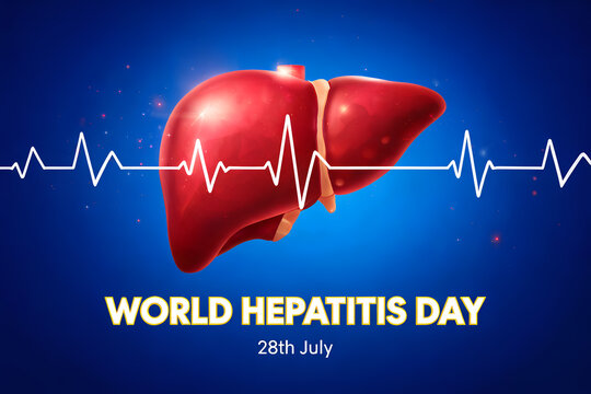World hepatitis day 28th july graphic illustration of liver with heartbeat line medical health awareness