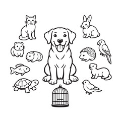 Cute pet animal collection, black and white line art vector set of 12 domestic animals, coloring page illustrations for veterinary and pet shop branding
