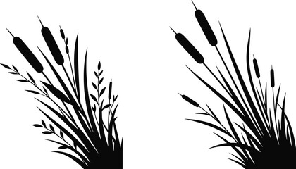 Black silhouette of cattail plants and reeds isolated on white background with silhouette isolated background botanical landscape collection decoration illustration vegetation © Kanon Islam
