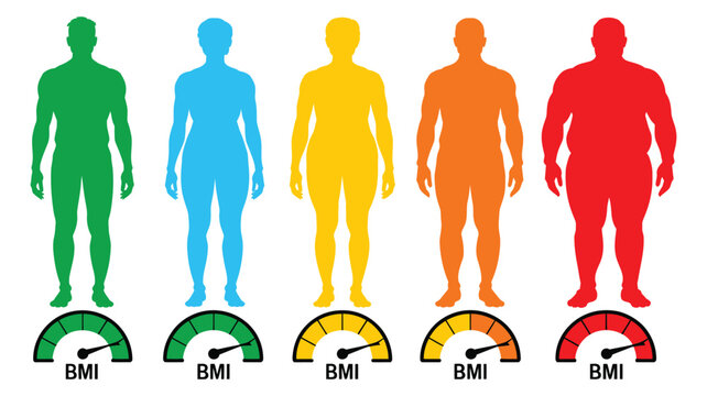 BMI infographic modern vector illustration featuring a health measurement indicator dial, colored scale with categories and ranges, and male and female silhouettes for weight analysis
