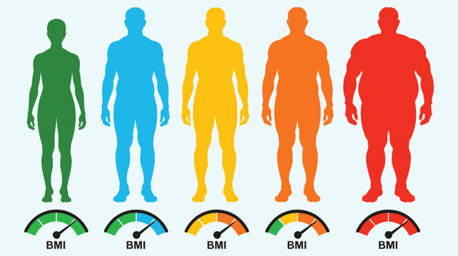BMI infographic modern vector illustration featuring a health measurement indicator dial, colored scale with categories and ranges, and male and female silhouettes for weight analysis