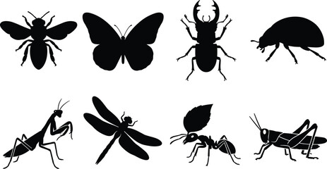 Collection of solid black insect silhouettes including bee butterfly stag beetle ant dragonfly and grasshopper isolated on white background © Foredul