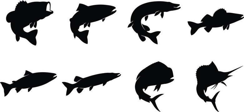 Sport fishing game fish silhouette vector set featuring bass trout pike mahi mahi and sailfish isolated on white background