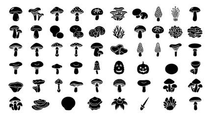 : Black Cartoon Mushroom Vector Set with Edible Poisonous Forest Fungi Silhouette Collection © MstRajia