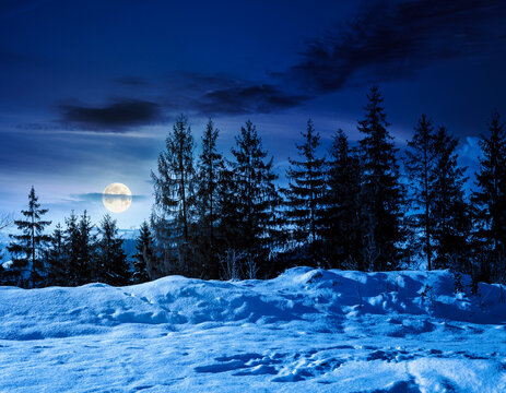 carpathian mountain landscape in winter at night. full moon over spruce forest on the snow covered hill. mountain scenery of ukraine on a cold weather. transcarpathia region. mysterious fantasy