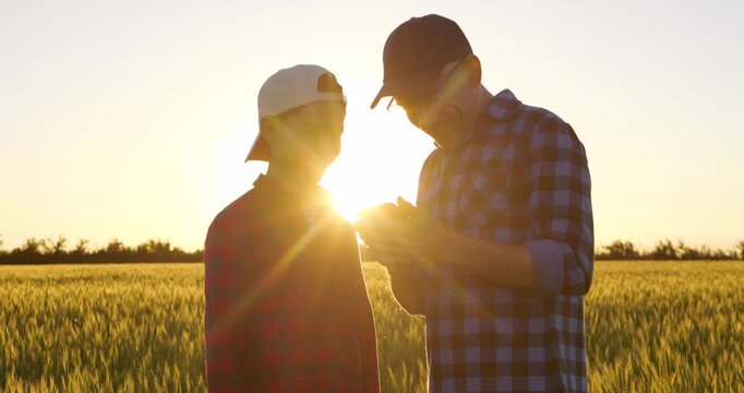 Father and son discuss ideas while viewing smartphone in wheat field at sunset. Golden hour scene represents communication, shared knowledge and modern family farming lifestyle. Dad and child