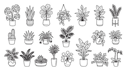 Fototapeta premium Decorative set of potted houseplants and botanical illustrations for home interior design with houseplants