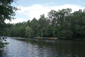 Obraz premium lake in the woods