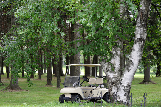 Voiturette de golf sur un terrain de golf.