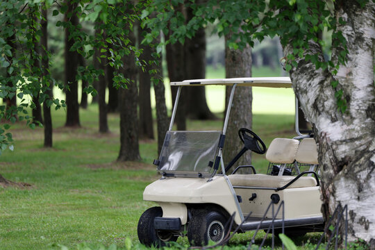 Voiturette de golf sur un terrain de golf.