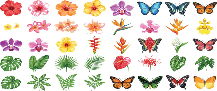 Watercolor exotic tropical flowers and colorful butterflies collection with monstera palm leaves vector set