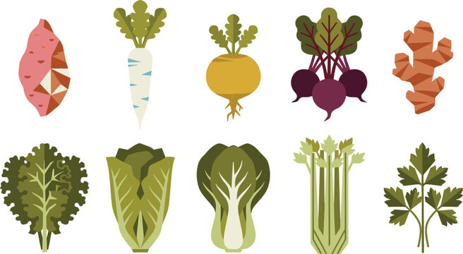 Geometric Flat Vector Vegetable Icon Set Featuring Sweet Potato, Radish, Turnip, Beetroot, Ginger, Kale, Cabbage, Bok Choy, Celery, and Parsley Leaves