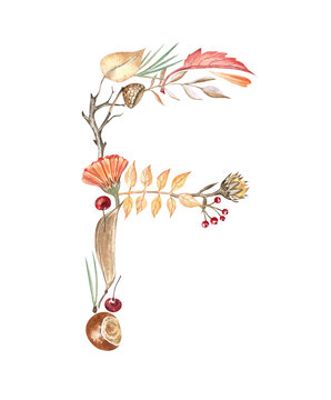 Alphabet letter F created from the autumn leaves, chestnut, and berries. Hand-drawn watercolor illustration on transparent background. Beautiful collage for monograms, cards, stickers, books