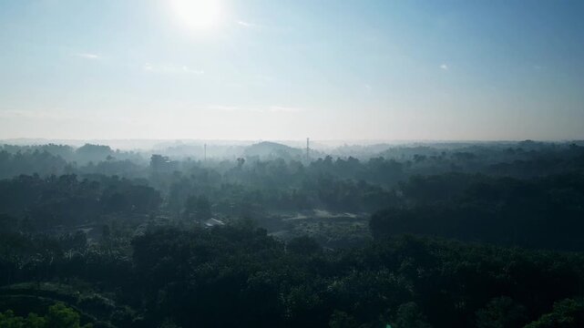 Sunrise View Of Sreemangal Tea Garden, Bangladesh