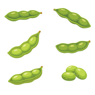 edamame beans vector logo isolated on white background.	