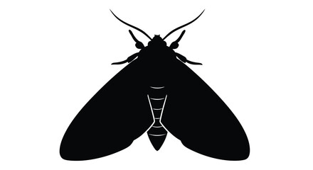 Moth Silhouette Against White Background Minimalist Insect Shape © Ziaul_Studio