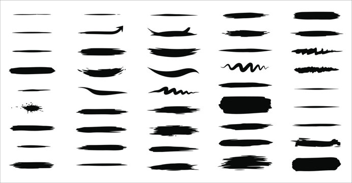 Set of Insect and Bug Line Art Illustrations in Black and White Outline Style