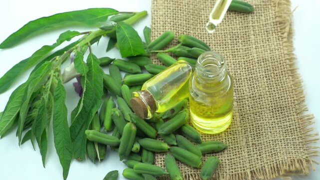 Natural Herbal Sesame Seed Oil for Wellness Ayurveda and Skincare. Essential Sesame Oil Bottling with Glass Dropper in Studio.