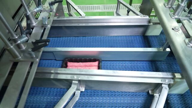 Automated process of placing meat products into plastic containers