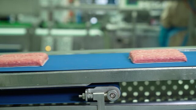 Automated food packaging machine on a production line