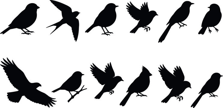 Bird Silhouette Icon Set Featuring Flying And Perched Wild Birds