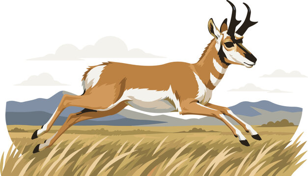 American Pronghorn Antelope Running Flat Vector Illustration