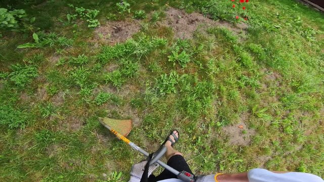 Top-down view of grass trimmer clearing patchy backyard lawn, with gloved hand, sandal-clad feet, dry soil, green turf, and orange guard in residential garden, with trimmer, lawn, grass, weed detail