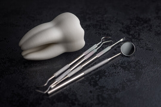 Dental Tooth Model With Stainless Steel Dental Tools and Mirror on Dark Background for Dentistry