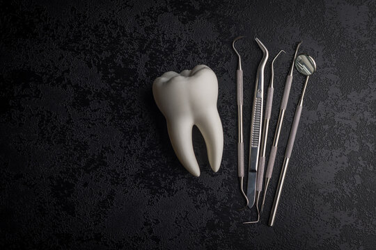 Dental Tooth Model With Stainless Steel Dental Tools and Mirror on Dark Background for Dentistry