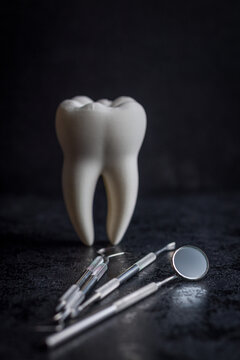 Dental Tooth Model With Stainless Steel Dental Tools and Mirror on Dark Background for Dentistry