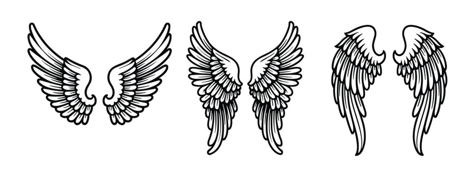 Angel Wings Collection: A set of three distinct black and white angelic wing designs. fantasy art, creative inspiration, divine symbol, ethereal element, gothic charm.