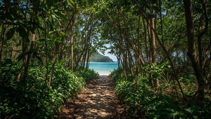 Naklejka premium Path Leads Through Trees to a Beach With Blue Water and a Distant Hill in Clear Weather